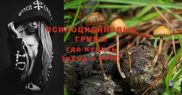 винт Арсеньев